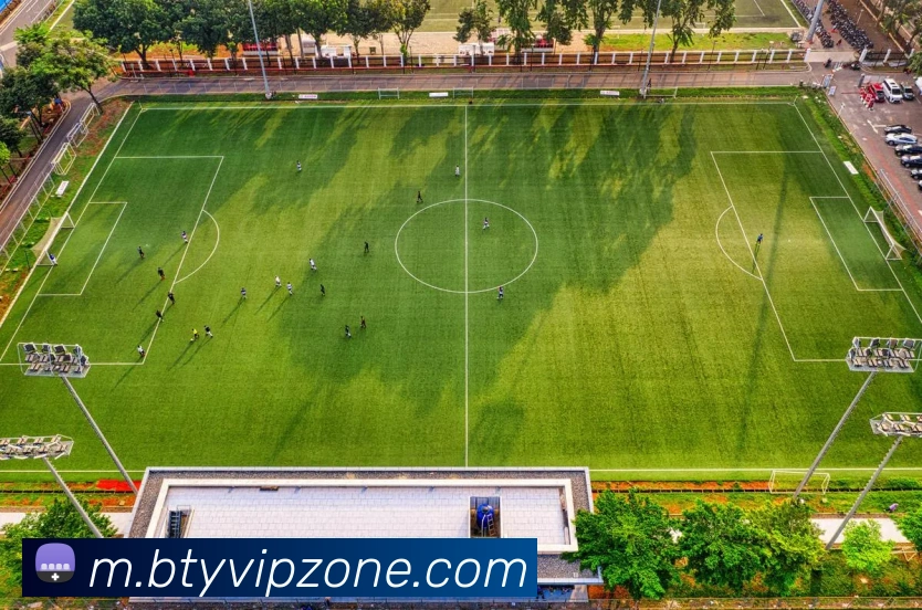 B体育平台生态图